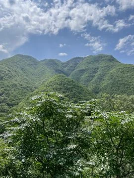Panoramic view of the green mountain Stock Photos