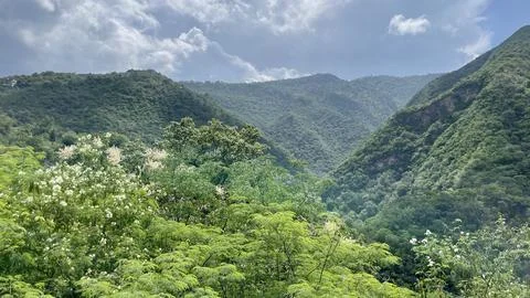 Panoramic view of the green mountain Stock Photos