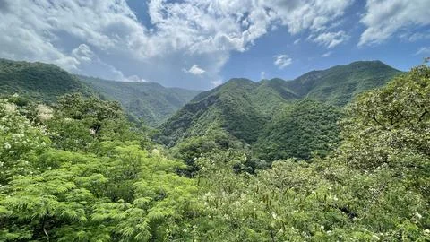 Panoramic view of the green mountain Stock Photos