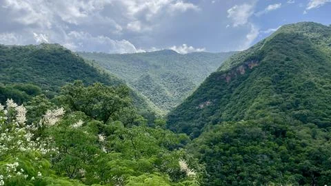 Panoramic view of the green mountain Stock Photos