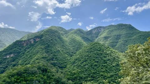 Panoramic view of the green mountain Stock Photos