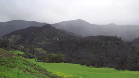 Panoramic view of the green mountains. Stock Footage 270913615