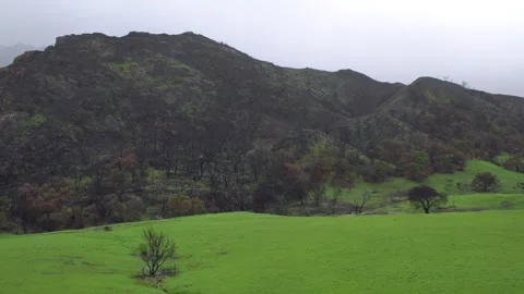 Panoramic view of the green mountains. Stock Footage 270916530