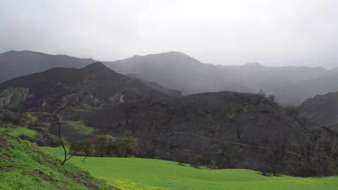 Panoramic view of the green mountains. Stock Footage 270916908