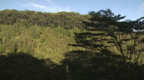 Panoramic View Of Hawaiian Landscape 스톡 동영상 19270894