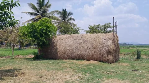 A panoramic view of hay stack in a rural village or paddy straw pile or str.. Stock Footage 322904842