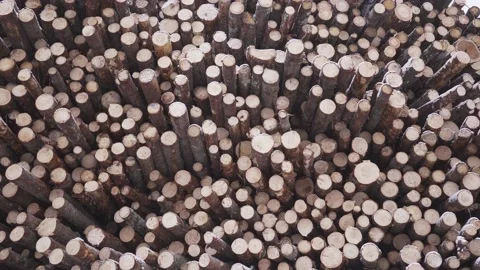 Panoramic view of heap of logs along road at sawmill covered in white snow on Stock Footage 130878033