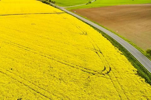 Panoramic view of a highway road between an empty brown and a bright yellow Stock Photos