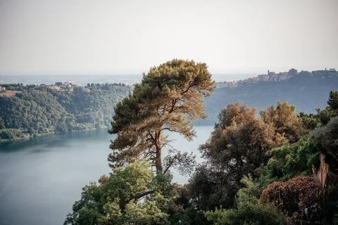 Panoramic view from the hill overlooking the stone pine trees and the volcanik Stock Photos