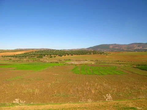 The panoramic view of hills and fields in Morocco country Stock Photos