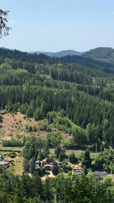 `Panoramic view of hills in ```forest of Karlovy Vary in summer. Vertical video Stock Footage 246972548