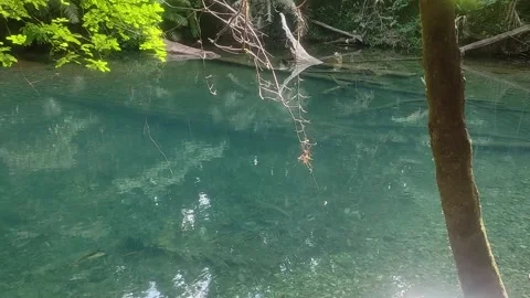 Panoramic view of an idyllic hole with clear and calm waters. Stock Footage 279187784