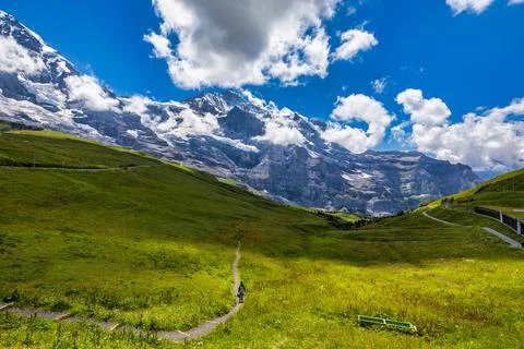 Panoramic view of idyllic mountain scenery in the Alps with fresh green mea.. Foto stock