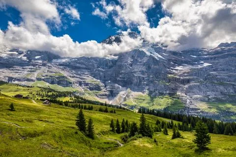 Panoramic view of idyllic mountain scenery in the Alps with fresh green mea.. Foto stock