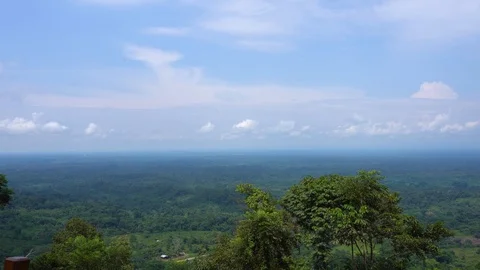 Panoramic view of an immense forest that is lost on the horizon Video stock 125115034