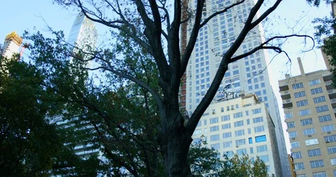 Panoramic View Of Impressive Massive Skyscrapers Surrounded By Beautiful Nature  Stock Footage 112587353