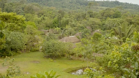 Panoramic view of an indigenous community in the amazon rainforest in ecuador Vidéo 113565382
