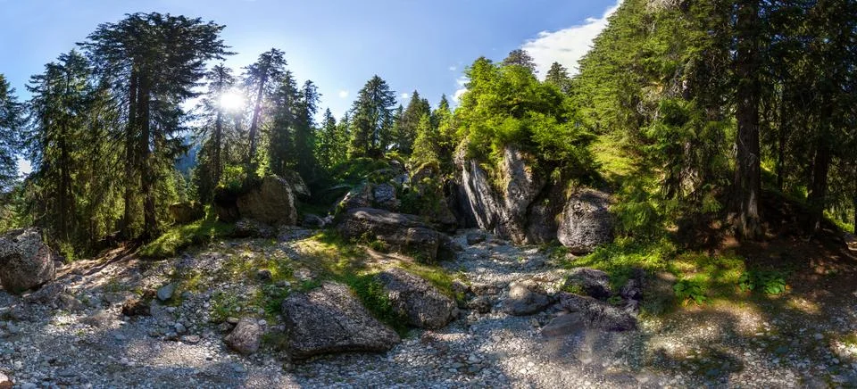 Panoramic view inside a forest from Mount Bucegi on summer Stock Photos