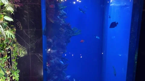 Panoramic view of interior wall decor.  Video stock 284239568