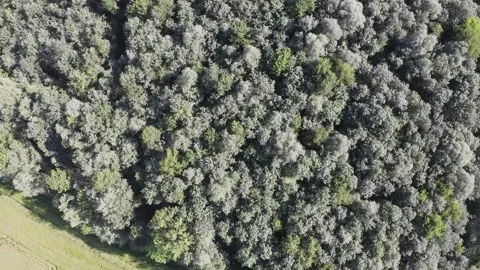 Panoramic view in italian countryside Stock Footage 145940470