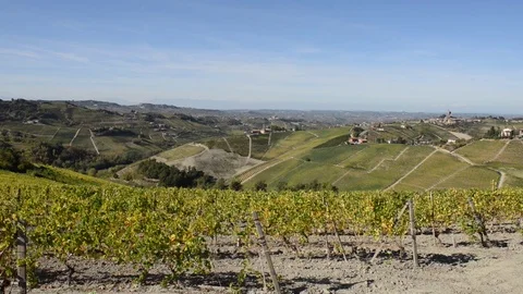 Panoramic View on Italian Vineyards and Castles Stock Footage 80990461
