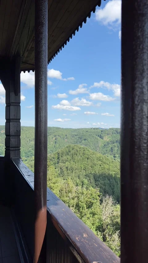 Panoramic view of Karlovy Vary forests from Diana lookout tower. Vertical Stock Footage 246498795