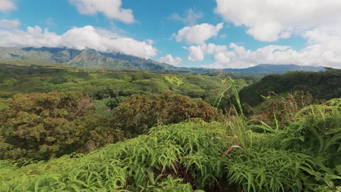Panoramic view of Kauai 库存影片 345279487