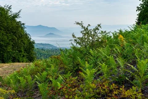 Panoramic view of Khust valley, Carpathian mountains, Ukraine Stock Photos