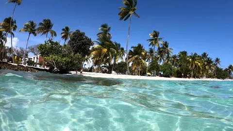 Panoramic view of La Caravelle beach in Guadeloupe on a sunny day, Caribbean sea Stock Footage 106674525