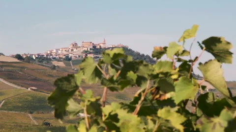 Panoramic view to La Morra and vineyards from the grape leaves 库存影片 142658711