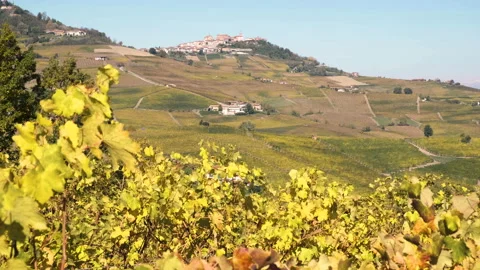 Panoramic view to La Morra and vineyards from the grape leaves. 库存影片 142690542