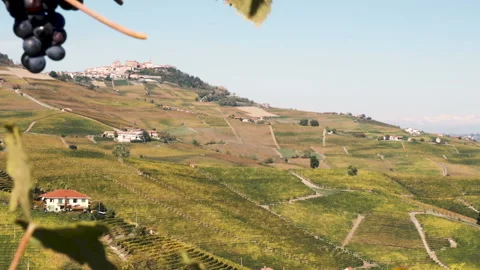 Panoramic view to La Morra and vineyards from the grape leaves. 库存影片 142704393