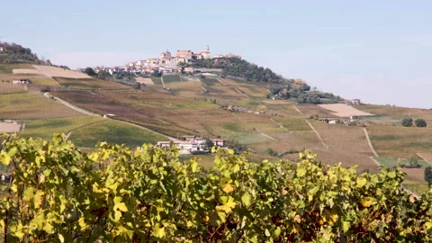 Panoramic view to La Morra from the vineyards in autumn 库存影片 142684957