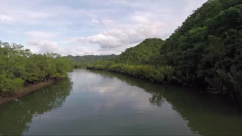 Panoramic View, Lagoon with Hills Covered by Tropical Forest, Philippines Stock Footage 263341214