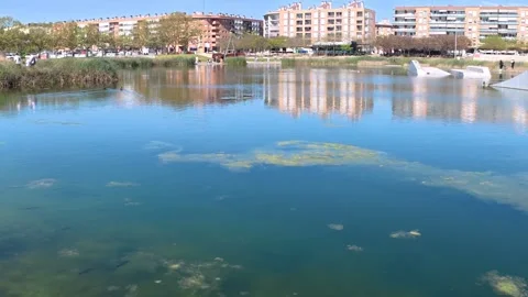Panoramic view of the lake in Parc Central, with fish and ducks, Santa Perpe 動画素材 332494573