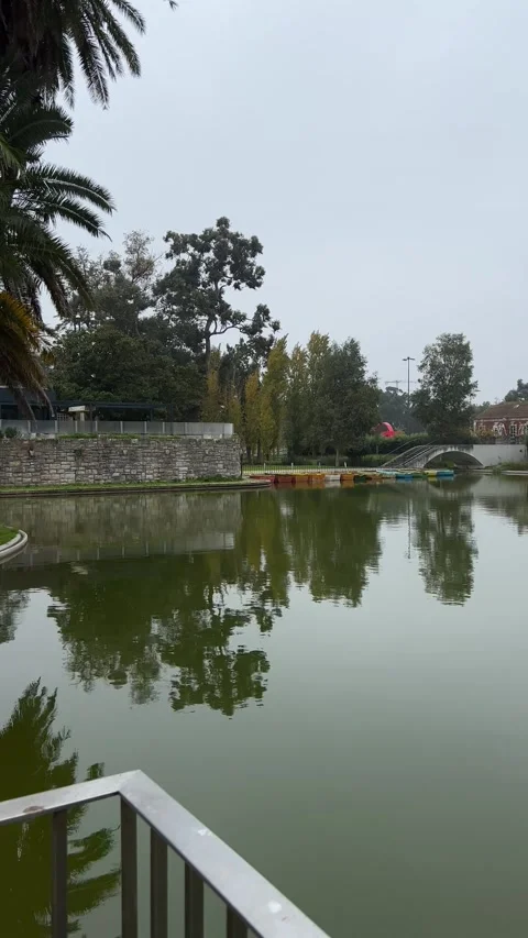 Panoramic view of lake in park in Lisbon on cloudy winter day. Vertical video Stock Footage 241023626