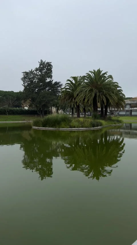 Panoramic view of lake in park in Lisbon on cloudy winter day. Vertical video Stock Footage 241023632