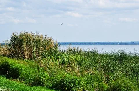 Panoramic view of the lake. Stock Photos