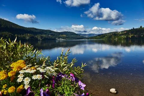 Panoramic view of the lake Stock Photos