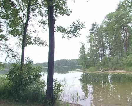Panoramic view of the lake with a small island in the middle. Stock Footage 8556575