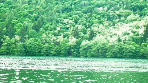 Panoramic view of a lake surrounded by mountains full of trees Stock Footage 334836213
