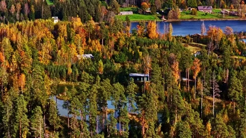 Panoramic view of lakes embedded in forested autumn terrain. Drone Video stock 329144330