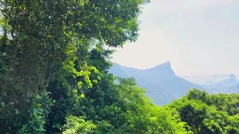 Panoramic view of the landscape of Rio de Janeiro from the Chinese view (Cr.. Stock Footage 236656033