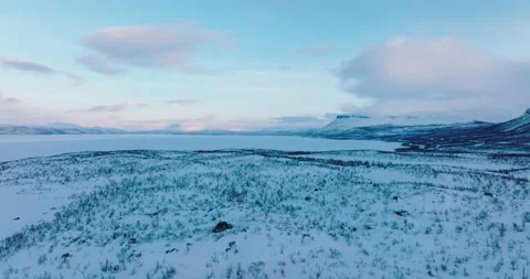 Panoramic view of Lapland during winter Stock Footage 220042401