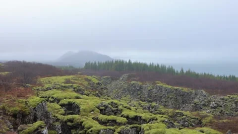 Panoramic View of Lava Fields at Thingvellir National Park – Iceland Stock Footage 305873944