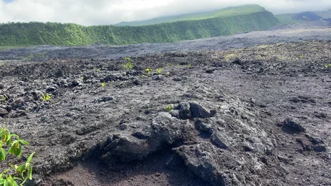 Panoramic view of the lava flows of the Grand Brûlé on Reunion Island Stock Footage 143000768