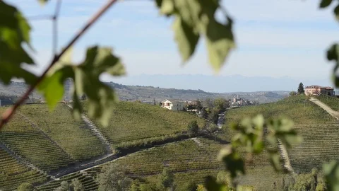 Panoramic View left to right on hills and castle through the vineyards Stock Footage 80996925