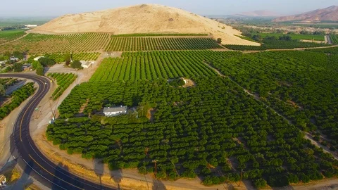 Panoramic view of Lemon Cove are, California Stock Footage 117339645