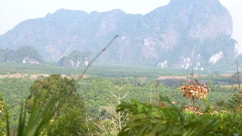 Panoramic view of limestone mountains and tropical forest in Krabi Thailand.. Stock Footage 333160363