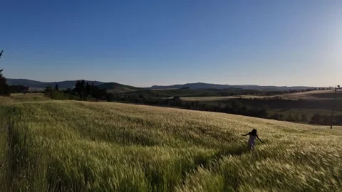 Panoramic View of Lone Person Walking Across Wheat Field at Sunset Stock Footage 347349346